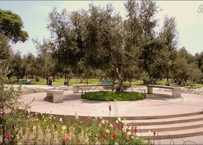 B&B El Olivar