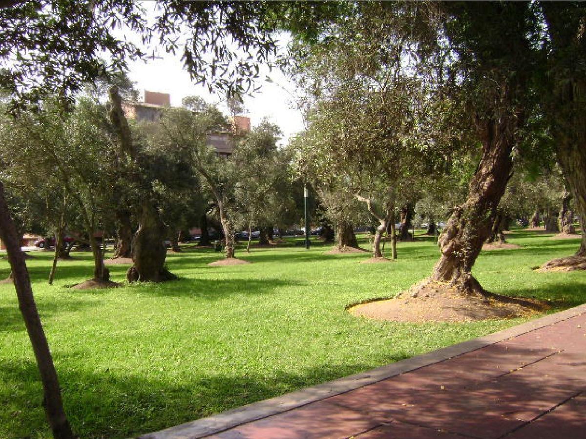 El Olivar Bed and breakfast 3*