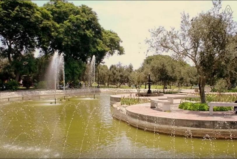 El Olivar Bed and breakfast Lima