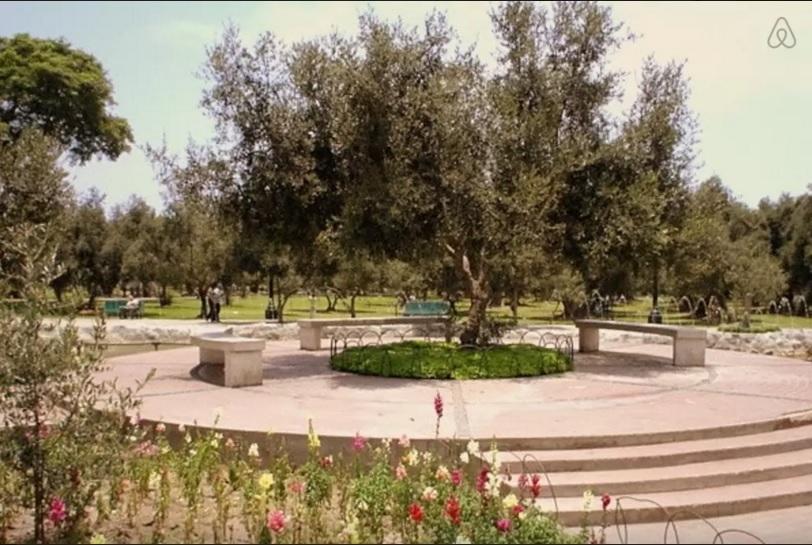 El Olivar Bed and breakfast 3*